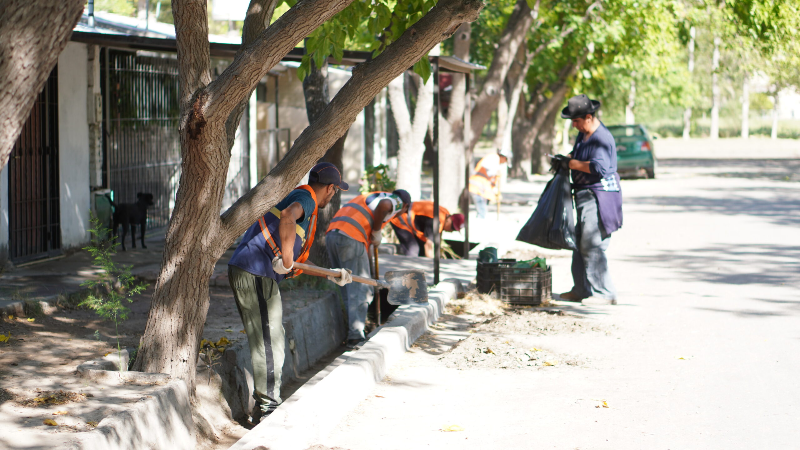 Servicios Públicos avanza con la limpieza en varios puntos de General Alvear