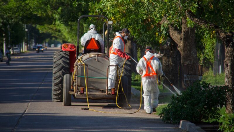 Continúan los operativos de fumigación contra el Dengue