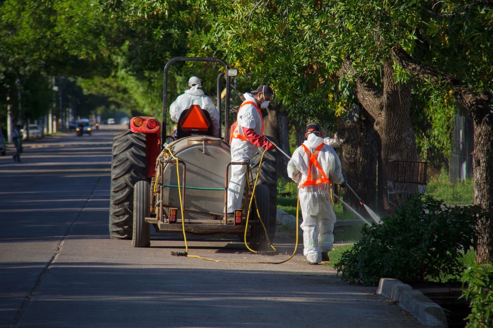 Continúan los operativos de fumigación contra el Dengue