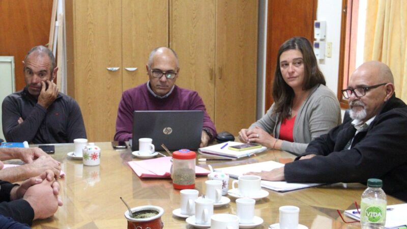 Programa de Apoyo a deportistas alvearenses
