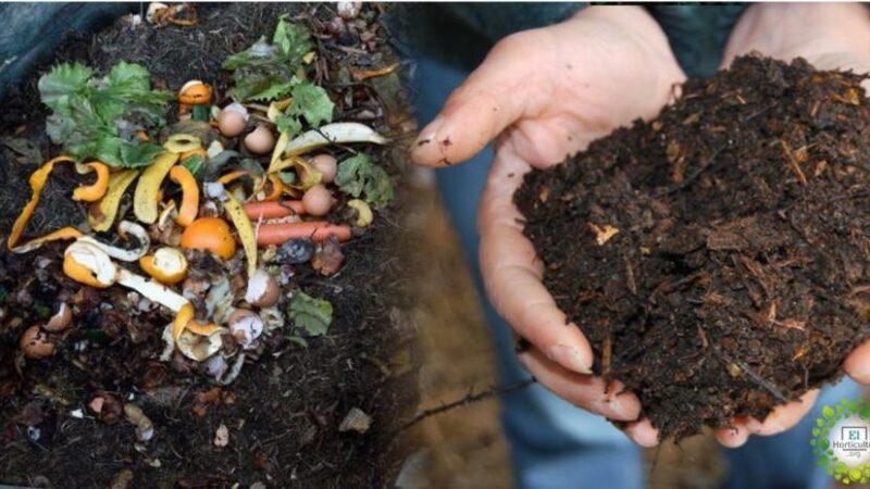 Gestión Ambiental: diversas actividades en el mes del compostaje