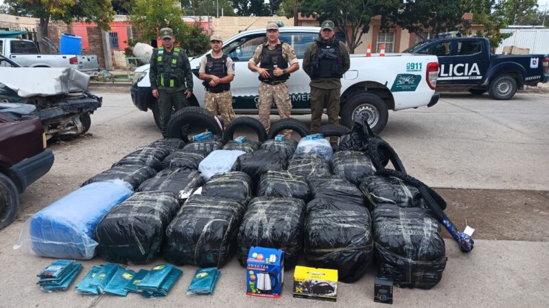 La Policía de Mendoza secuestró casi media tonelada de hojas de coca en Lavalle