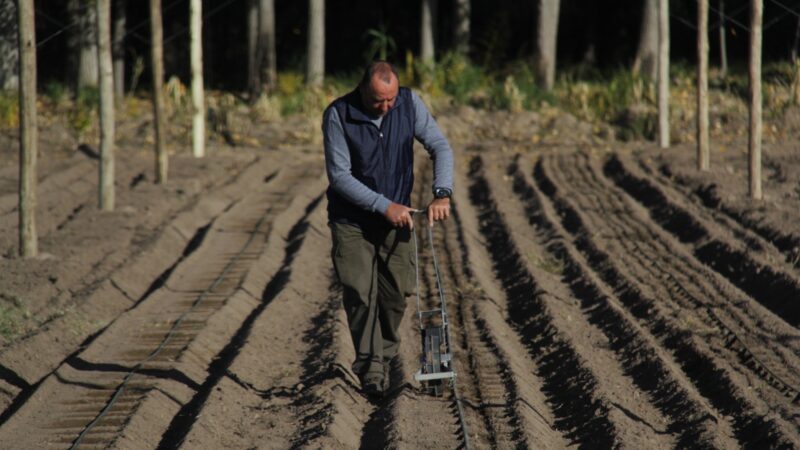 Siembran cultivos invernales en la finca modelo Faraón