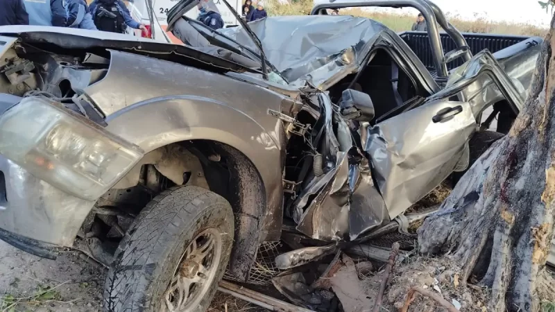 Un hombre murió tras chocar su camioneta contra un árbol en San Martín