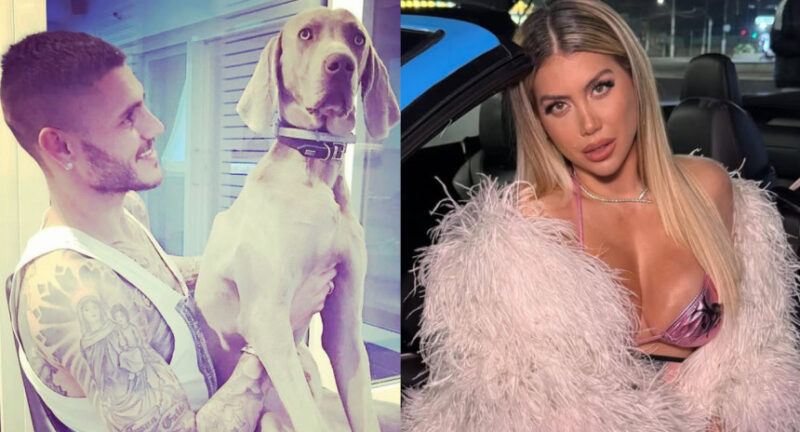 Wanda Nara y una acusación grave contra Mauro Icardi por uno de sus perros: “Lo prendió fuego”