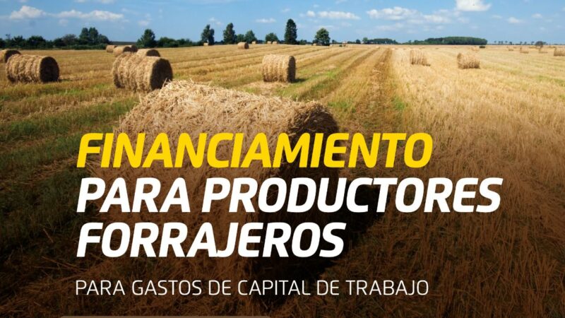 Se habilitan las inscripciones al Plan Forrajero: financiamiento a tasa cero para productores