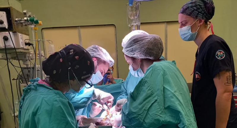 El dolor en los quirófanos del Garrahan: están en las cirugías más complejas del país y venden alfajores para llegar a fin de mes