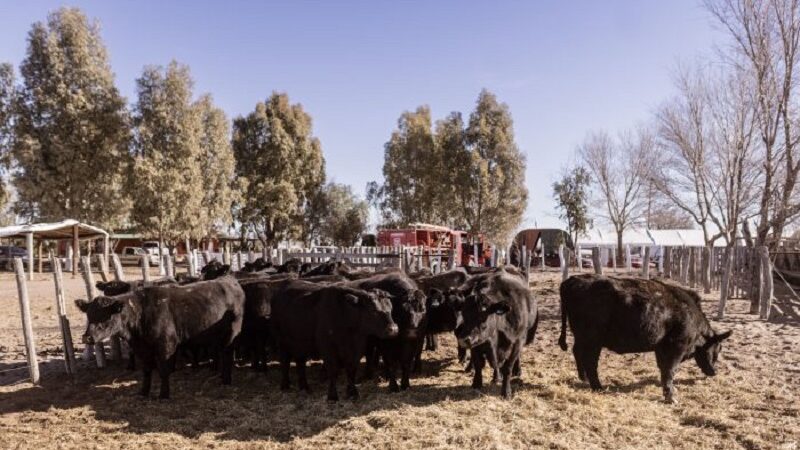 Encuentro del Instituto de Promoción de la Carne Vacuna Argentina en General Alvear