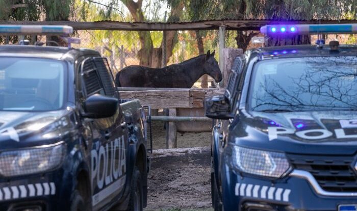 Decomisaron 280 kilos de carne en mal estado en Malargüe