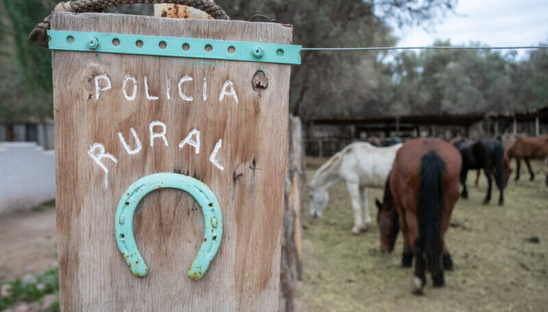 Decomisaron más de 350 kilos de productos cárnicos