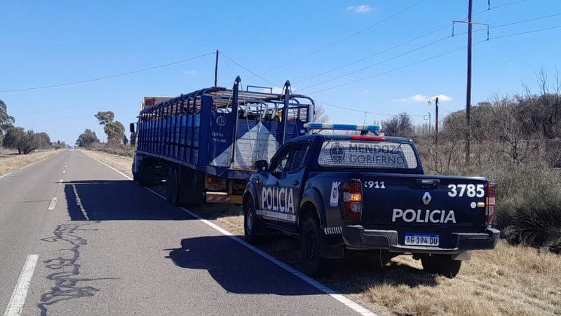 La Policía Rural incautó más animales por trasladado irregular