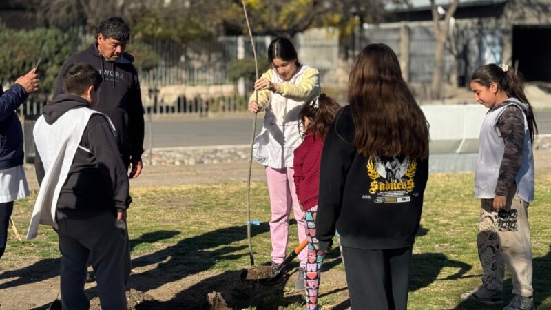 Jornada de forestación en la plaza del barrio San Carlos