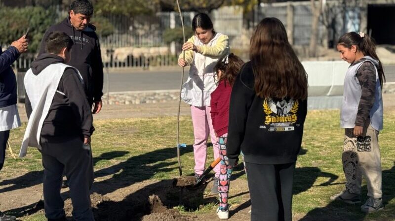 Jornada de forestación en la plaza del barrio San Carlos