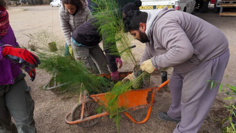 Entrega de forestales en el Vivero Municipal