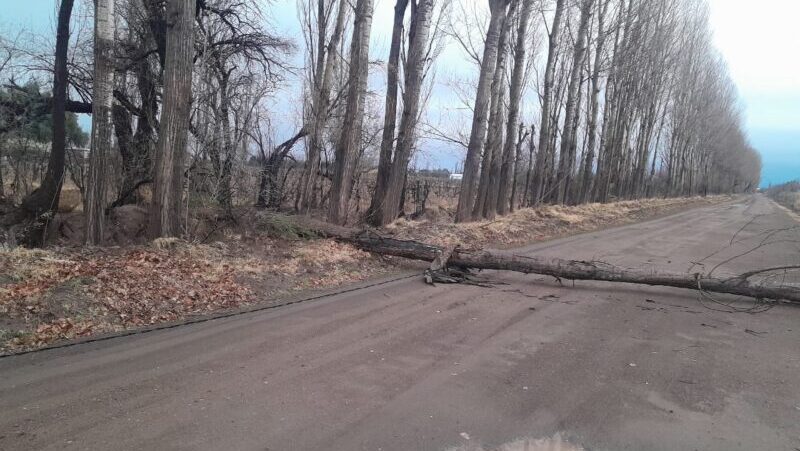 La tormenta pasó sin mayores complicaciones por General Alvear