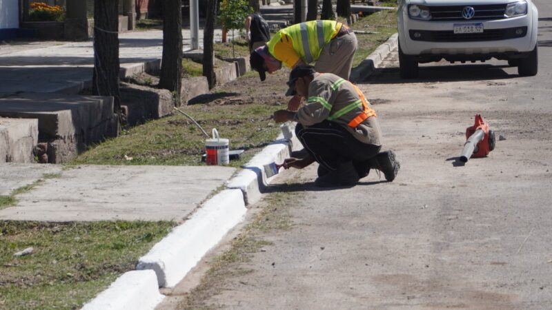 Operativo de limpieza y mejoras en el barrio Irrigación