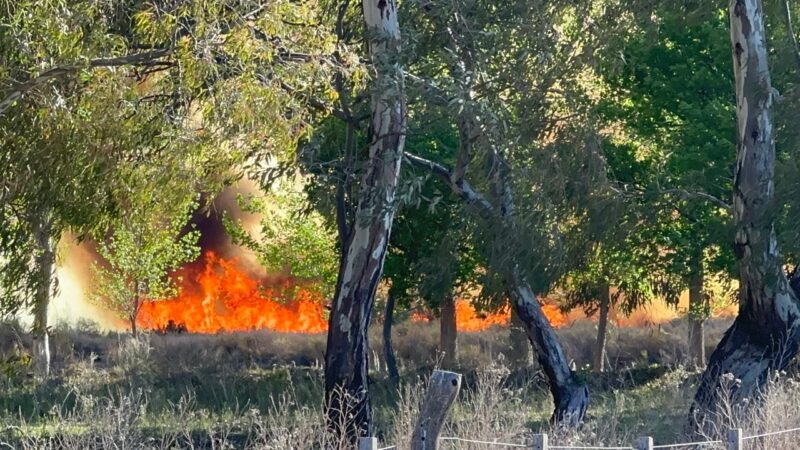 Se registraron cuatro incendios en Alvear