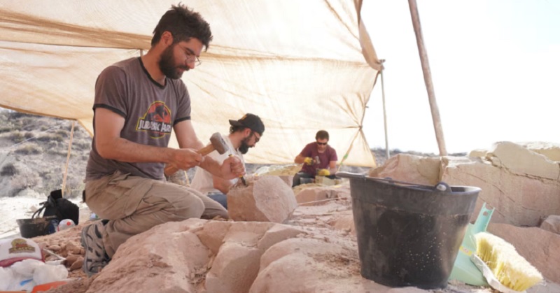 Paleontólogos del Conicet transmitirán en vivo la búsqueda de fósiles de dinosaurios: cuándo es y dónde verlo