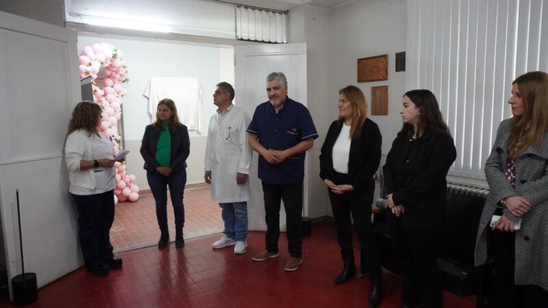 El IES entrega obra de arte al Hospital Enfermeros Argentinos en el marco de Octubre Rosa