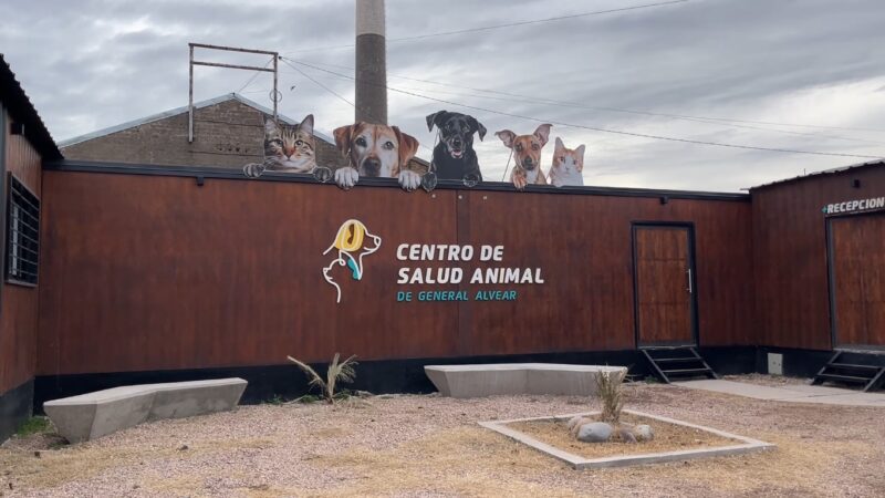 Balance anual del programa de castraciones y proyecciones para el bienestar animal