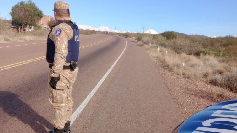 La Policía decomisó pollo en mal estado