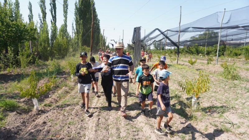 Conociendo nuestras tierras