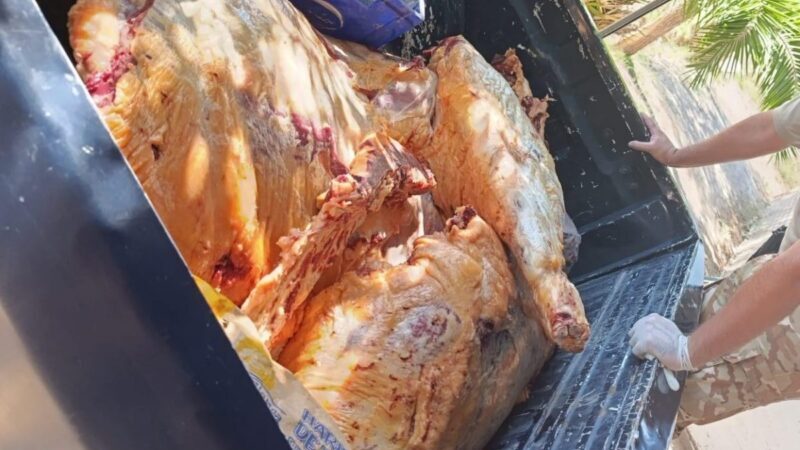 La Policía Rural decomisó 260 kilos de carne bovina en mal estado en General Alvear