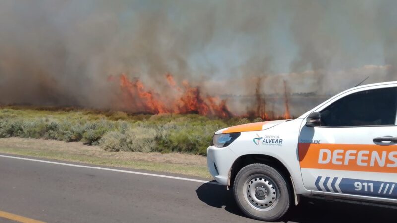 Incendio en el sector oeste de la ciudad dejó alrededor de 120 hectáreas afectadas