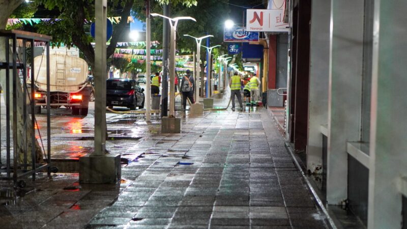 Operativo de limpieza y mantenimiento en Alvear Oeste