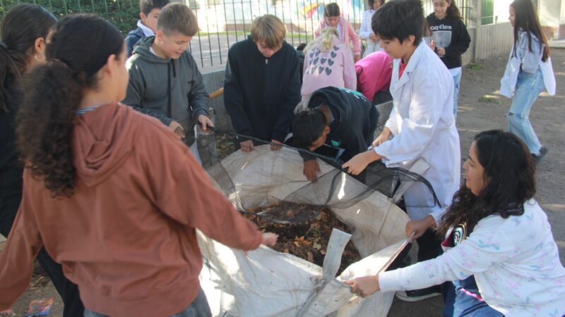 El Mes del Compostaje comenzó con actividades en la Escuela Capital Federal
