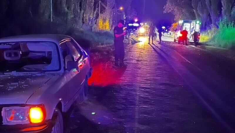 Un motociclista falleció tras impactar contra un árbol en Maipú