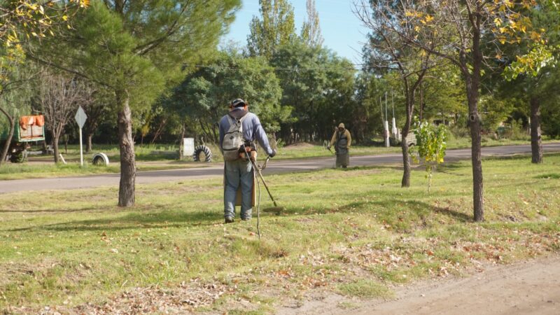 Operativo integral de limpieza y mejoras en barrio Zangrandi