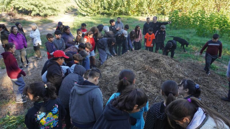 Estudiantes participan de actividades en el vivero