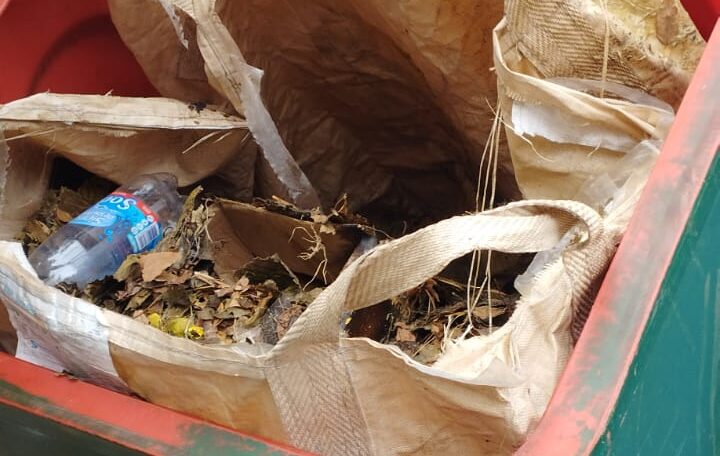 Cuidemos nuestros Puntos Verdes