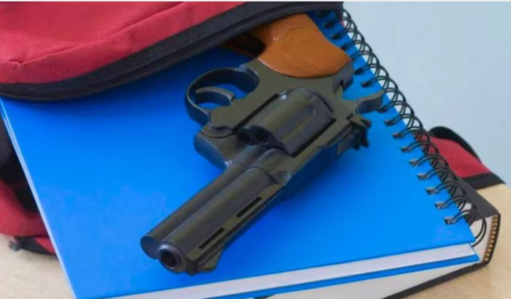 Mendoza: detuvieron a la mamá de un adolescente que llevó un arma al colegio