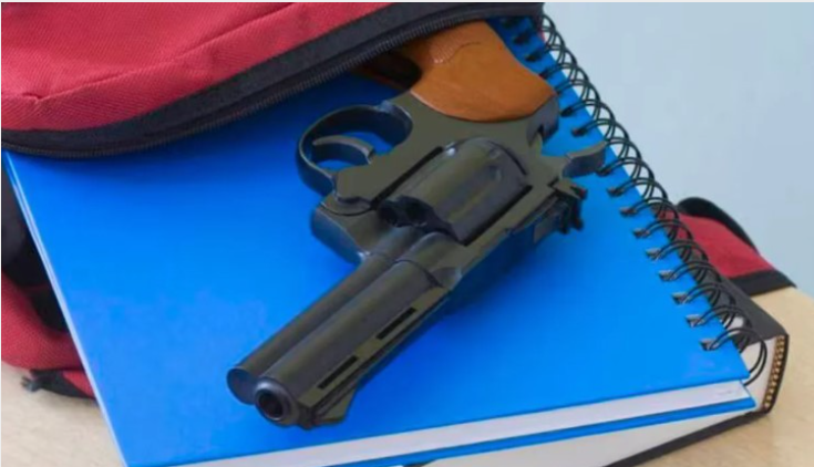 Mendoza: detuvieron a la mamá de un adolescente que llevó un arma al colegio