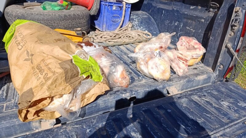 La Policía Rural decomisó más de 30 kilos de carne en mal estado en General Alvear