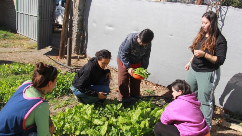 Acciones en APID por el día mundial de la tierra