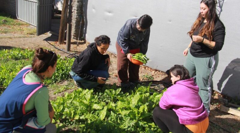 Acciones en APID por el día mundial de la tierra