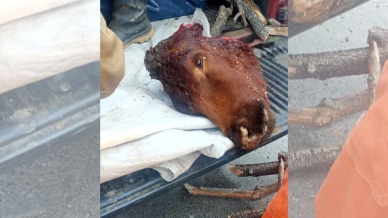 Secuestran 150 kilos de carne y detienen a tres personas