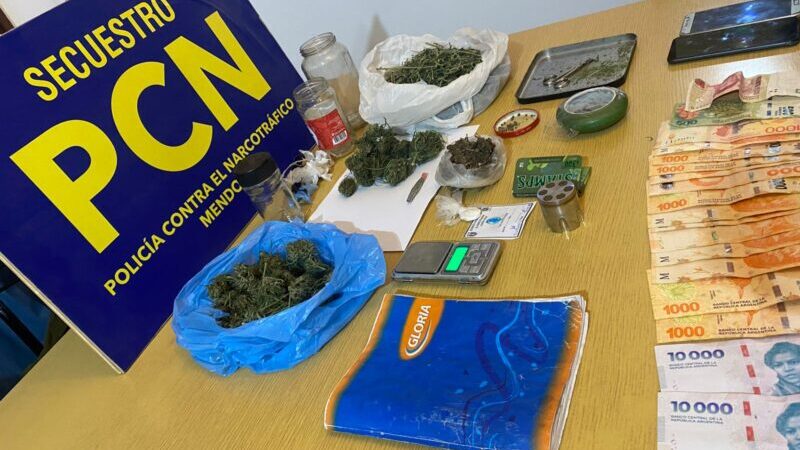 Allanaron una vivienda por narcomenudeo y secuestraron droga, plantas y un arma