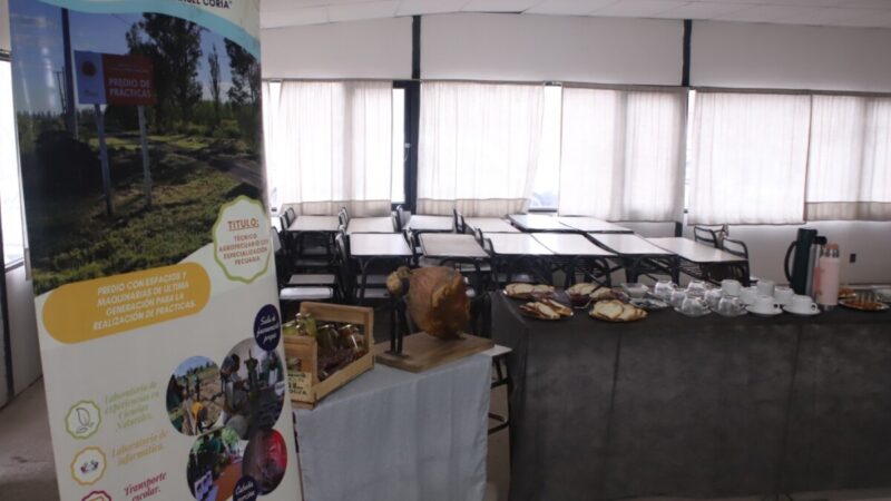 Carmensa se prepara para los festejos de San Pedro Apóstol